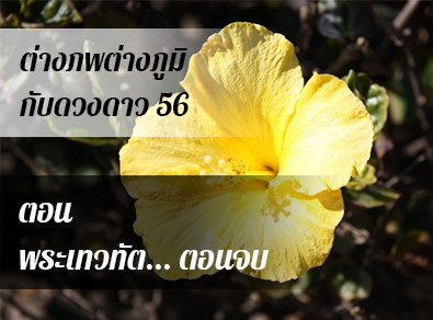 อ.วารุณี