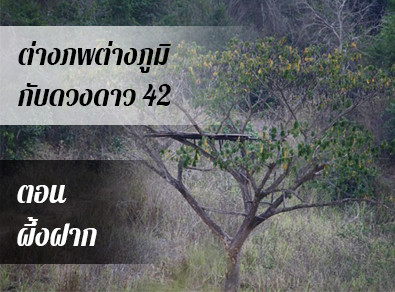 อ.วารุณี