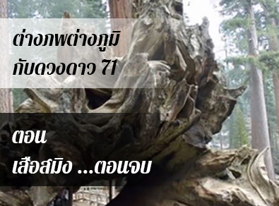อ.วารุณี